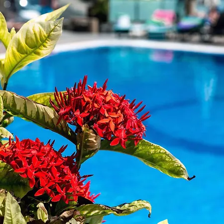 Bahia Blanca Lägenhetshotell 3*